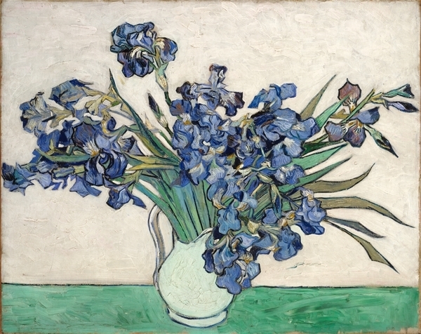 13-Vincent_van_Gogh_-_Irises_(1890)_GF.jpg