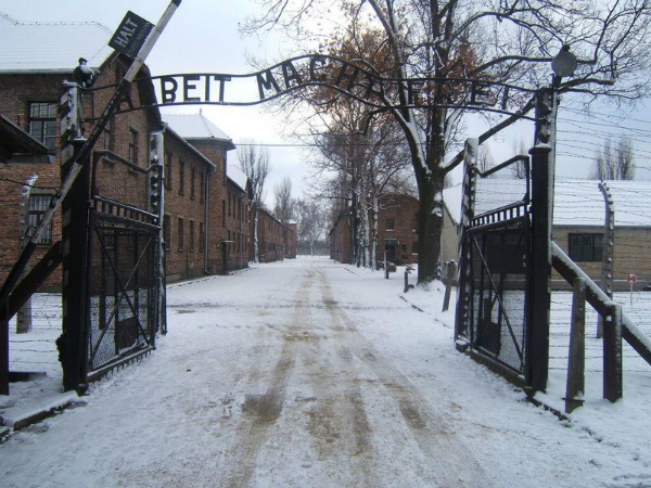 2-2-La-storia-del-tatuatore-di-Auschwitz-03.jpg