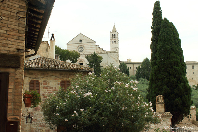 3-Assisi 2014 IMG_0330_GF.jpg