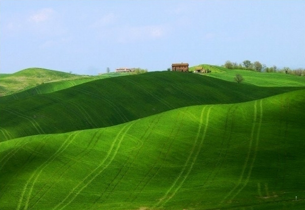 4-faggione.jpg