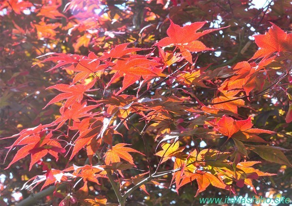 7-P25_9456_GF.jpg
