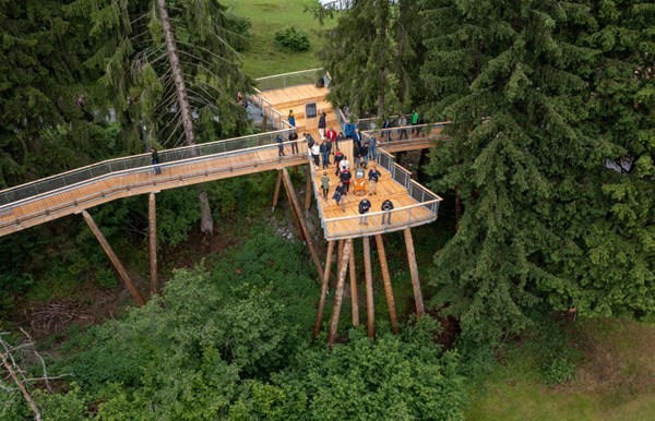 9-Treetop_Walkway__Switzerland_GF.jpg